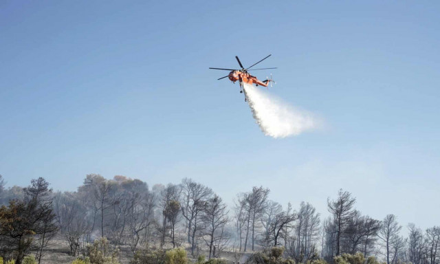 Δύο εστίες φωτιάς τώρα στη Μεσσηνία σε Μελιγαλά και Πετρίτσι - Επιχειρούν εναερία μέσα