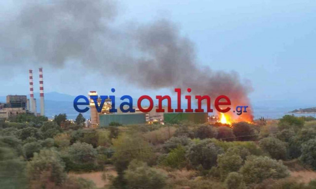 Εύβοια: Φωτιά τώρα κοντά στο εργοστάσιο της ΔΕΗ - Επί τόπου η Πυροσβεστική