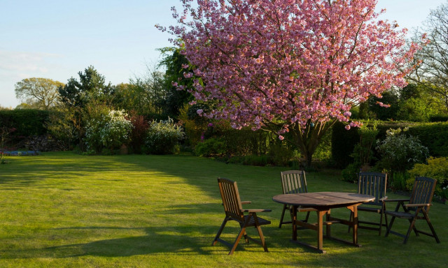 Πώς θα δημιουργήσετε τον κήπο των ονείρων σας