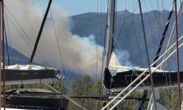 Φωτιά τώρα στην Τροιζήνα - Για την κατάσβεση επιχειρούν 6 εναέρια μέσα