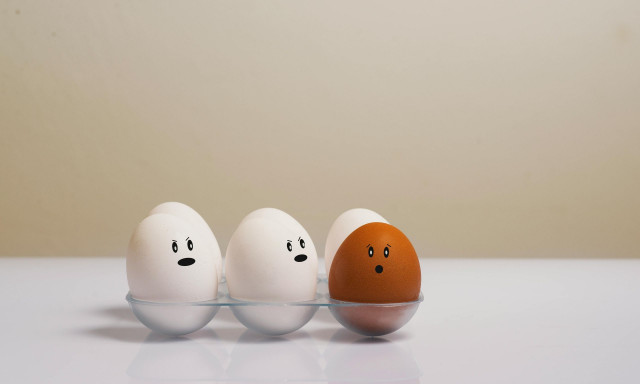 Αλήθειες και μύθοι για τα αυγά - Τελικά είναι ασφαλή; - Ο καθηγητής Θωμαΐδης απαντά στο Newsbomb