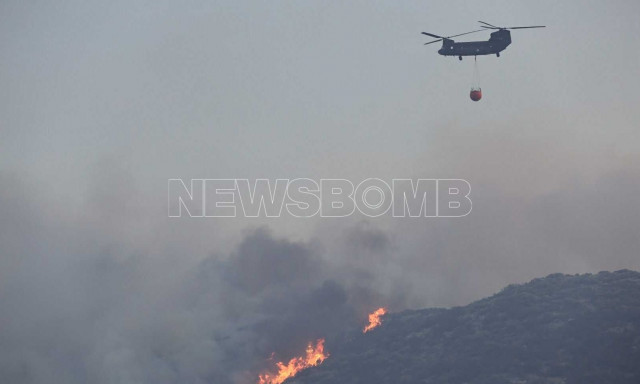 Ιωάννινα: Φωτιά τώρα σε δύσβατο σημείο στη Λάιστα Ζαγορίου