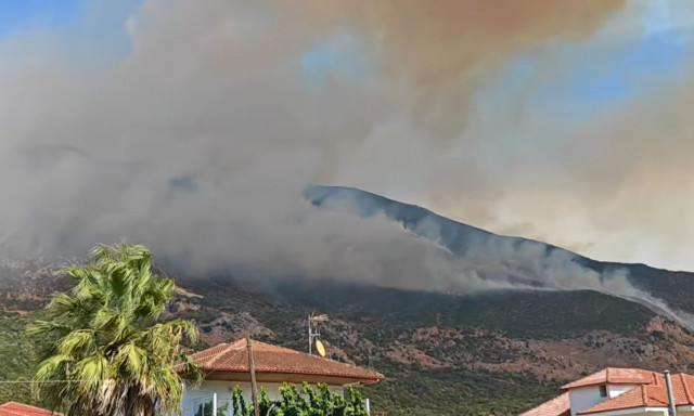 Φωτιά Θεσπρωτία: Ενισχύθηκαν οι πυροσβεστικές δυνάμεις - Επιχειρούν 9 εναέρια μέσα