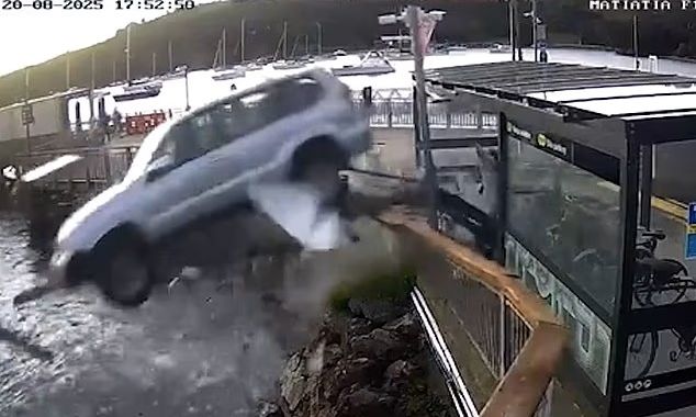 Νέα Ζηλανδία: Μεθυσμένη συνταξιούχος έπεσε με το αυτοκίνητό της στη θάλασσα - Δείτε το βίντεο