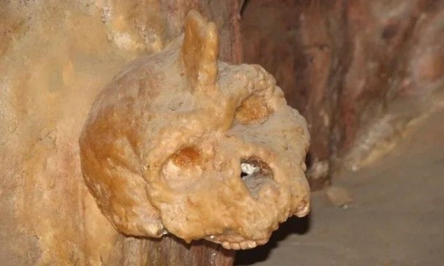 Παγκόσμιο δέος για τον αρχάνθρωπο των Πετραλώνων - Μυστήριο με το κρανίο - Δεν ανήκει σε άνθρωπο