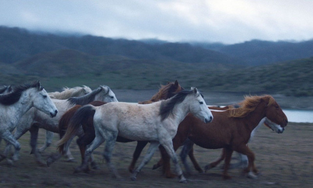 48ο Φεστιβάλ Ταινιών Μικρού Μήκους Δράμας: Δυναμικό restart με νέα διεύθυνση και 223 ταινίες