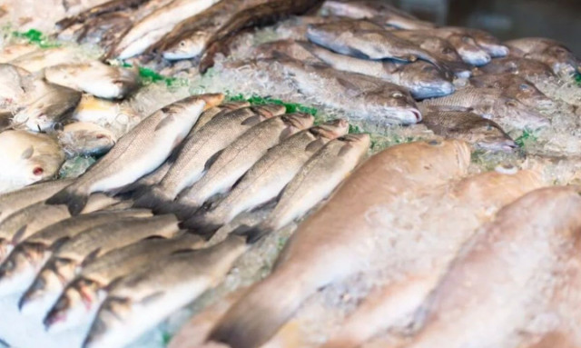 Ούτε τόνος, ούτε σολομός: Το ψάρι που μπαίνει σε κάθε ελληνικό σπίτι και είναι γεμάτο υδράργυρο