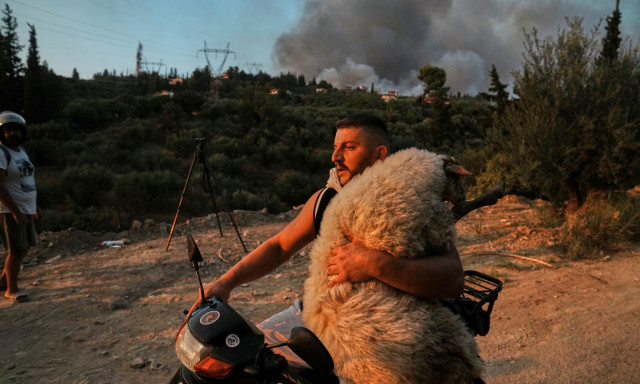 BBC: «Ο καλός ποιμένας» της Αχαΐας από τις πιο εμβληματικές φωτογραφίες του 2025