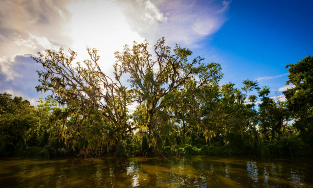 Το νέο μυστικό όπλο της Ευρώπης κατά της Ρωσίας είναι.... οι βάλτοι