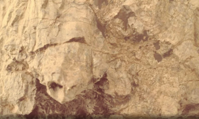 Μια «χελώνα» στον Άρη - Η φωτογραφία από το ρόβερ της NASA γοήτευσε το διαδίκτυο