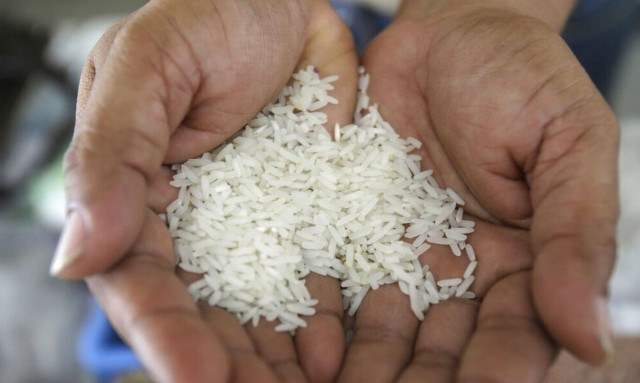 «Πόλεμος» για το μπασμάτι: Πώς το ρύζι «δυναμιτίζει» την εμπορική συμφωνία Ινδίας-ΕΕ