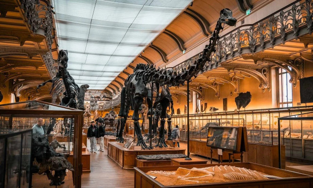 Παρίσι: «Ληστεία - μαμούθ» στο Εθνικό Μουσείο Φυσικής Ιστορίας - Έκλεψαν 600.000 ευρώ σε χρυσό