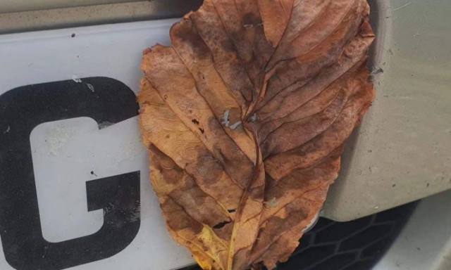 Το τρικ με το φύλλο που χρησιμοποιούν οι οδηγοί αυτοκινήτων για να γλυτώνουν πρόστιμα