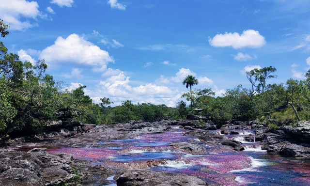 Κολομβία - Cano Cristales: Το Ποτάμι των 5 Χρωμάτων - Γιατί συμβαίνει το υγρό ουράνιο τόξο