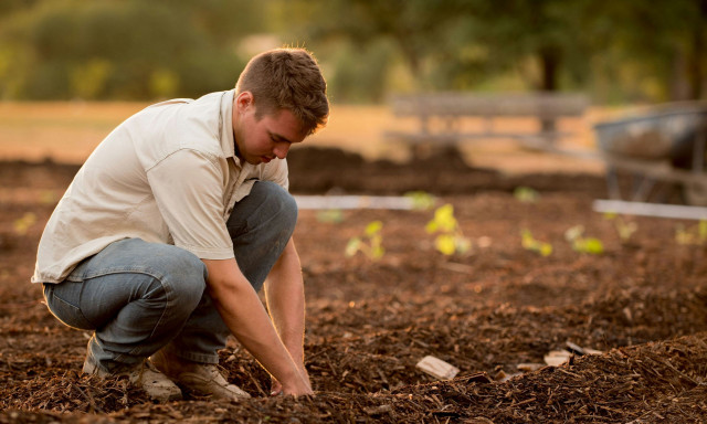 «Κυνήγι του θησαυρού» με... ανιχνευτές μετάλλων -  Η νέα μόδα μέσω social media