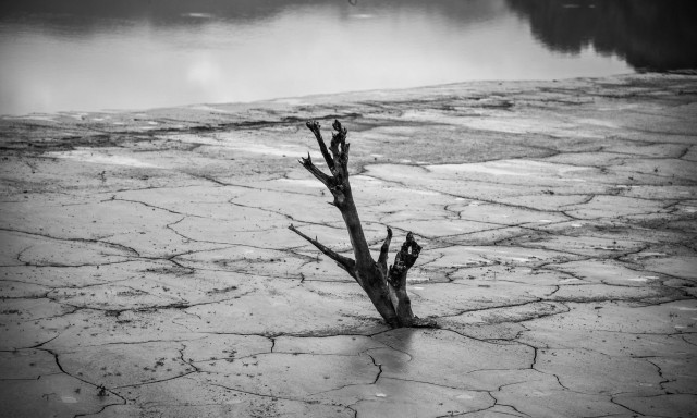 Δημήτρης Ζιακόπουλος: Τι σημαίνουν ανομβρία, λειψυδρία, ξηρασία και ερημοποίηση;