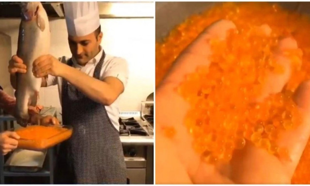 Οι χρήστες του X αηδίασαν με την παραγωγή του χαβιαριού