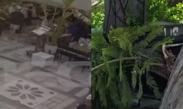 Αγία Ειρήνη: Βίντεο ντοκουμέντο από την πτώση δέντρου στην πλατεία - Δύο οι τραυματίες