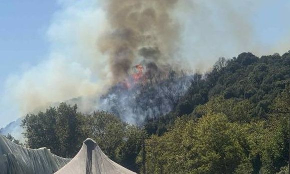 Φωτιά τώρα στο Μυρτόφυτο Παγγαίου Καβάλας – Σηκώθηκαν και εναέρια μέσα