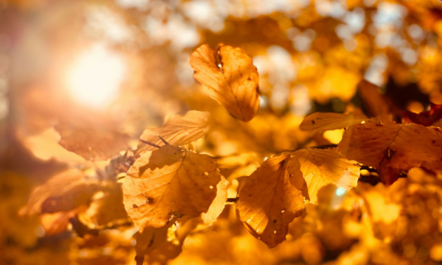 Φθινοπωρινή ισημερία 2025: Τι είναι και τι σηματοδοτεί