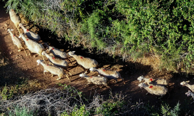 Σκάνδαλο ΟΠΕΚΕΠΕ: Σήμερα η πρώτη δίκη στην Κρήτη – Στο εδώλιο 104 άτομα