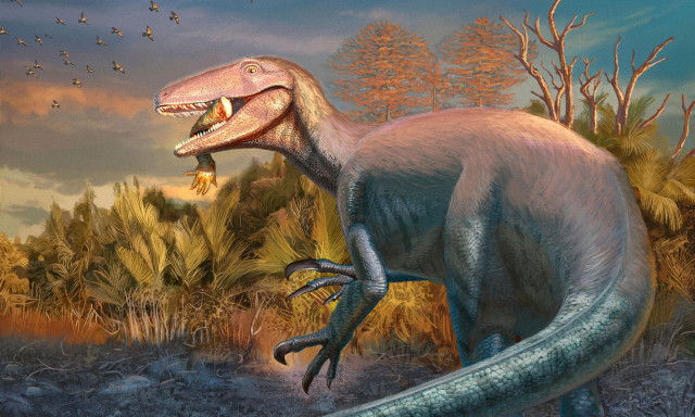 Παταγονία: Ανακαλύφθηκε νέο είδος δεινοσαύρου με ένα οστό κροκόδειλου στο στόμα
