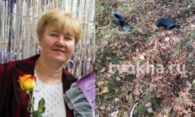 Ρωσία: Αρκούδα κατασπάραξε γυναίκα που μάζευε μούρα - Βρέθηκαν μόνο οι μπότες της