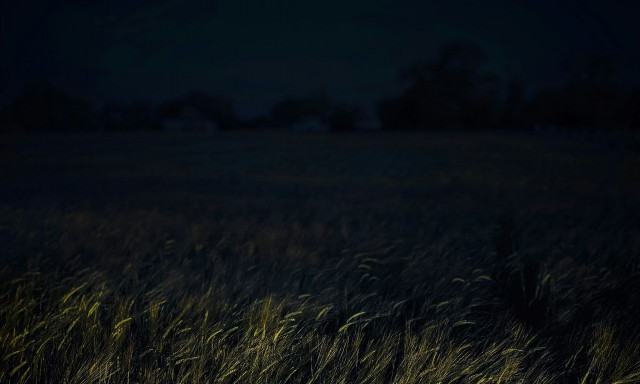 Αιματηρή επίθεση στη Μεσαρά: Δύο αδέλφια μαχαιρωμένα σε χωράφι