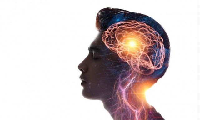 Βρέθηκε το αρχαίο τμήμα του εγκεφάλου που ελέγχει τη συνείδηση