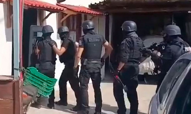 Πάνοπλοι αστυνομικοί της ΟΠΚΕ συλλαμβάνουν 62χρονο για παράνομη υλοτομία στη Βόλβη - Δείτε βίντεο