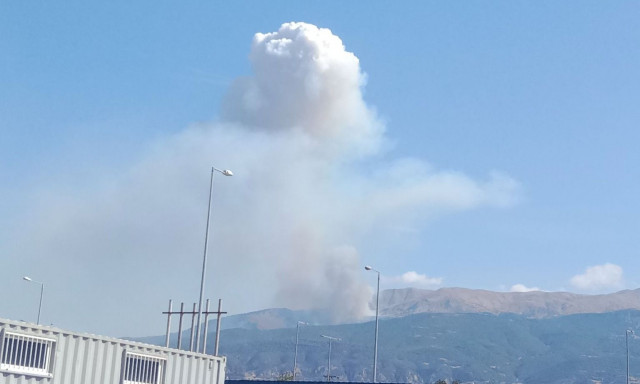 Φωτιά στο Καστρίτσι Αχαΐας: Στη «μάχη» 40 πυροσβέστες και πέντε εναέρια - Δείτε βίντεο