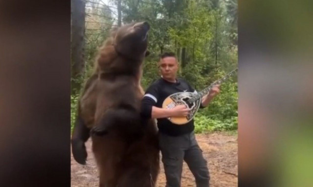 Έλληνας μουσικός στη Ρωσία παίζει μπουζούκι παρέα με μια αρκούδα