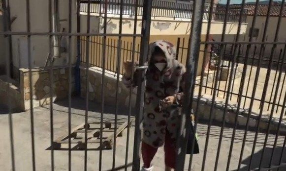 Βοιωτία: Η 62χρονη ανακαίνισε το σπίτι μετά την ταφή της μητέρας της