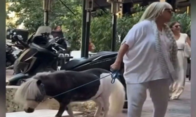 Λύθηκε το μυστήριο με τη γυναίκα που έβγαλε βόλτα το πόνυ της με λουρί - Τι λέει στο Newsbomb