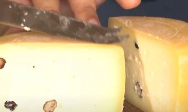 Η νέα παγκόσμια γαστρονομική επιτυχία της Βραζιλίας: Τυρί με καβουρδισμένα μυρμήγκια κάνει πάταγο