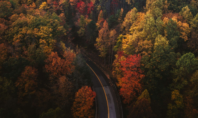 Το απόλυτο φθινοπωρινό ταξίδι: Έξι διαδρομές για να ζήσετε τη μαγεία των χρωμάτων στις ΗΠΑ
