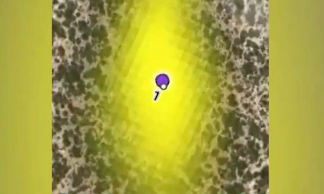 Χάρτες κρυμμένων θησαυρών: Ποτήρια, πέρδικες, φίδια και τι σημαίνουν