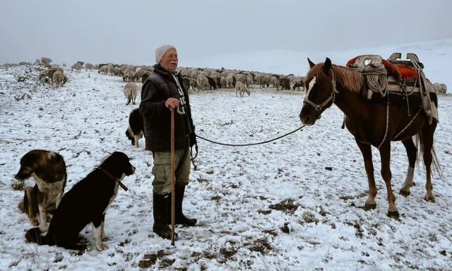 Γρεβενά: Έπεσε το πρώτο χιόνι στη Σαμαρίνα – Εγκλωβισμένοι στα βουνά οι μετακινούμενοι κτηνοτρόφοι