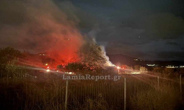 Φωτιά σε αποθήκη στη Μακρακώμη της Φθιώτιδας - Δείτε φωτογραφίες