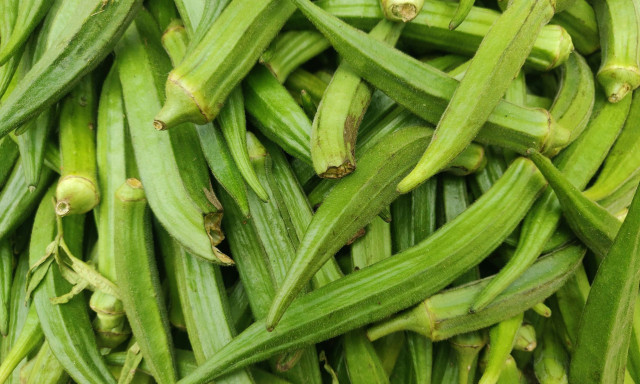 Η μπάμια μπορεί να είναι μια φυσική λύση στο πρόβλημα των μικροπλαστικών