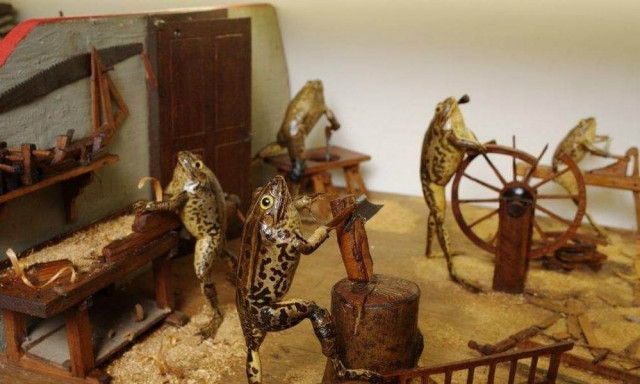 Τα 20 πιο παράξενα μουσεία της Ευρώπης - Από ταριχευμένους βατράχους μέχρι εκθέσεις για υπονόμους