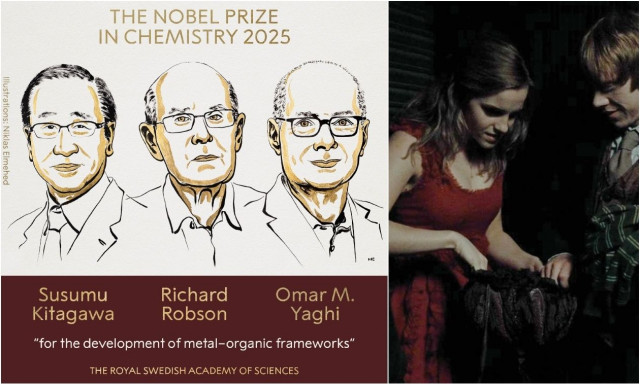 Πώς «κολλάει» η ανακάλυψη που έλαβε το Νόμπελ Χημείας με το τσαντάκι της Ερμιόνης