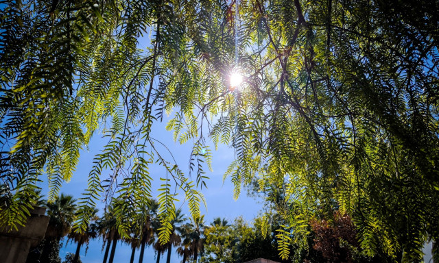 Κολυδάς: Τι είναι τα μικρά «καλοκαιράκια» μέσα στο φθινόπωρο - Πότε θα τελειώσουν