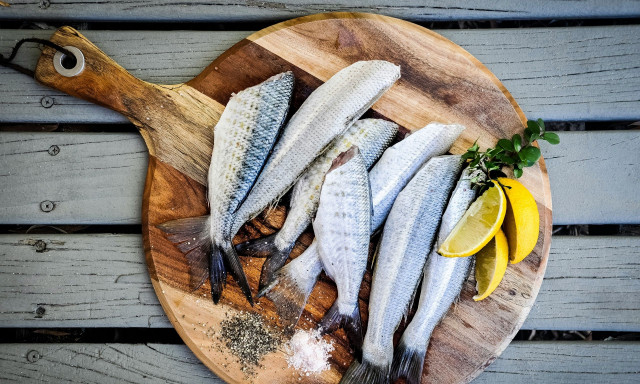 Βαρβάκειος Αγορά: Μειώσεις έως 40% στις τιμές ψαριών - «Ο ανταγωνισμός κρατά τις τιμές χαμηλά»