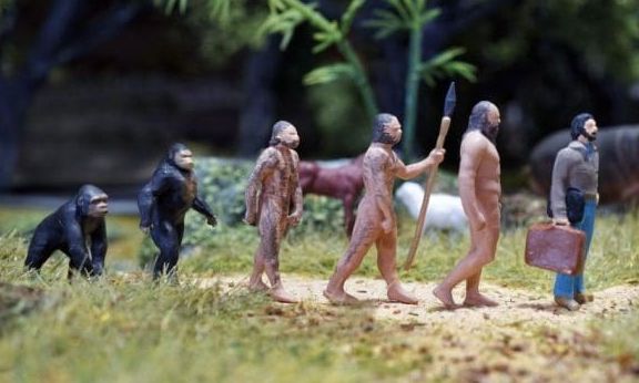 Παρανθρώποι: Οι αρχαίοι πρόγονοι που άλλαξαν την ιστορία των εργαλείων