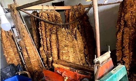 Ξάνθη: Κατασχέθηκαν 462,5 λαθραία κιλά καπνού και φύλλων καπνού