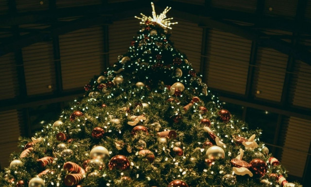 Αντίο στο Χριστουγεννιάτικο δέντρο: Η νέα τάση που κατακλύζει την Ευρώπη