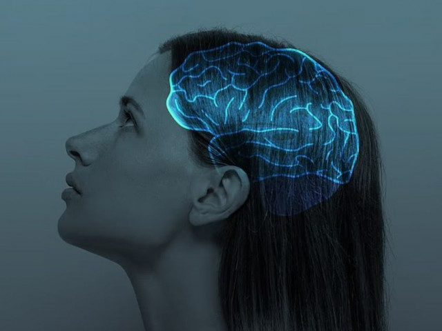 Επιστήμονες ανακάλυψαν την ηλικία που ο εγκέφαλος φτάνει στο απόγειό του