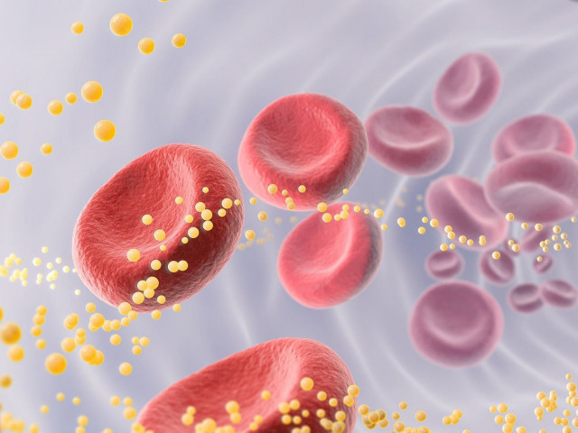 Η γενετική θεραπεία μειώνει τη χοληστερόλη κατά σχεδόν 50% σε μια πρωτοποριακή μελέτη