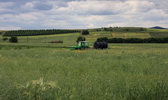 ΟΠΕΚΕΠΕ: Στα 268 εκατ. ευρώ ο προϋπολογισμός της εξισωτικής αποζημίωσης παραγωγών για το 2025